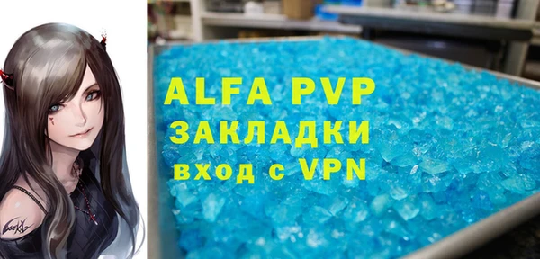 ПСИЛОЦИБИНОВЫЕ ГРИБЫ Каменногорск