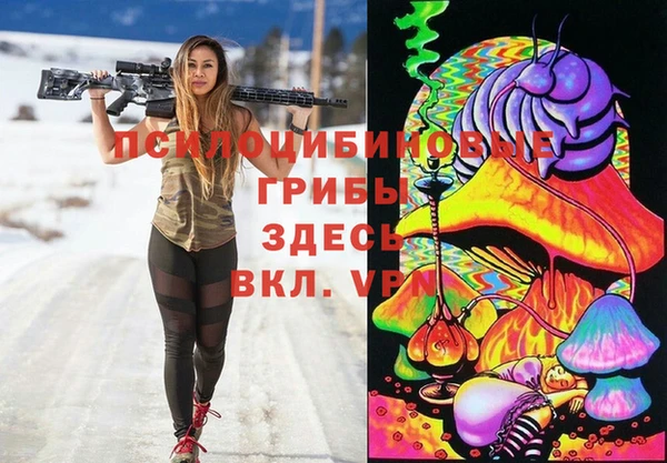 гашик Карталы