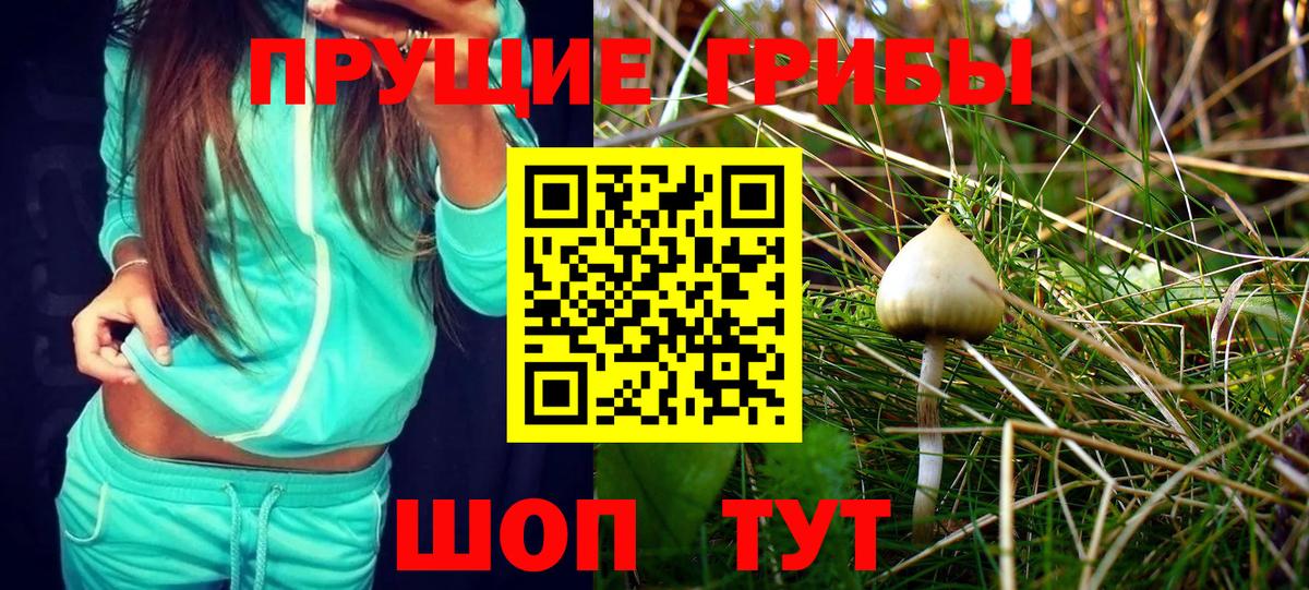 Галлюциногенные грибы мухоморы Лабинск