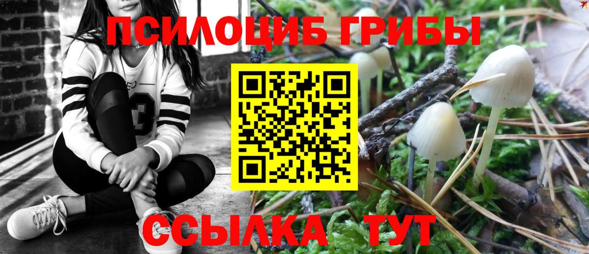 Лабинск  Псилоцибиновые грибы прущие грибы  Вход с VPN  Псилоцибиновые грибы GOLDEN TEACHER 